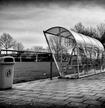 IJsselstreek | foto: Han Balk