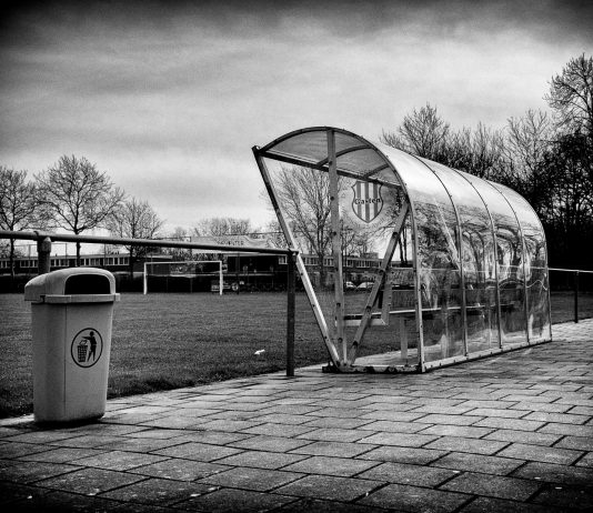 IJsselstreek | foto: Han Balk