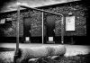 Sportclub Deventer. Foto: Han Balk