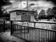 Foto: Han Balk - Terwolde