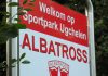 Albatross