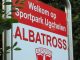 Albatross