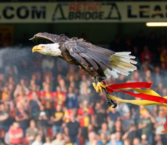 Go Ahead Eagles Harly