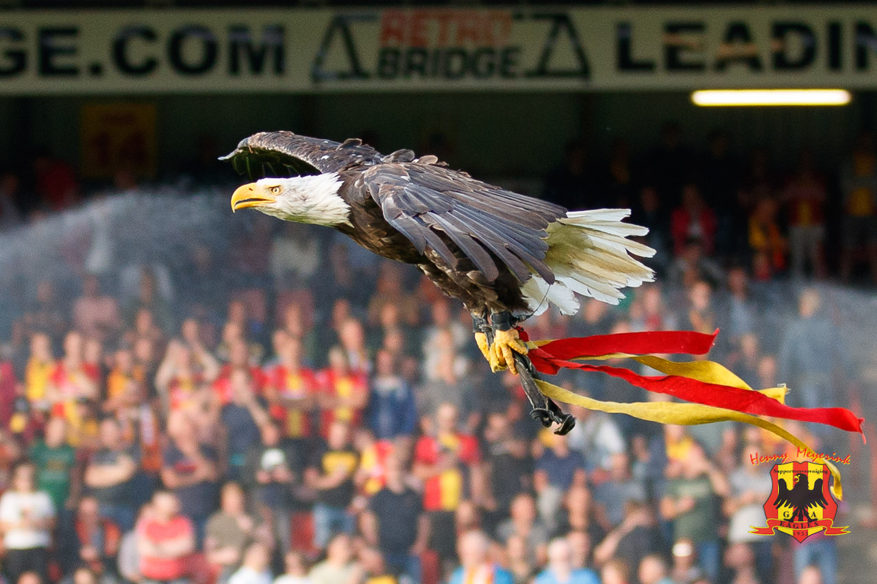 Go Ahead Eagles Harly