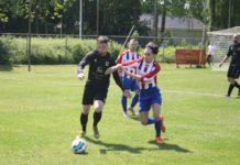 IJsselstreek - Davo