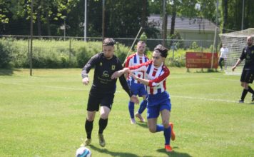 IJsselstreek - Davo