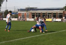 Davo - Raalte