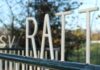 Ratti-Socii