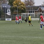 Sallandia - Twenthe Goor