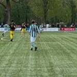 Hector - Colmschate