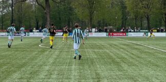 Hector - Colmschate