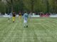Hector - Colmschate