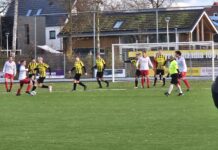 Sallandia herstelt zich knap tegen Haarle