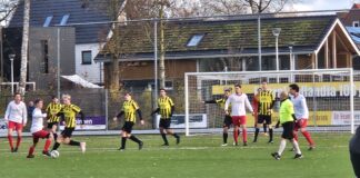 Sallandia herstelt zich knap tegen Haarle