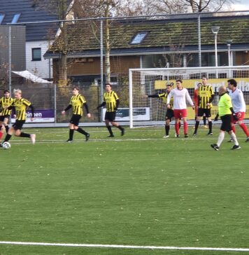 Sallandia herstelt zich knap tegen Haarle