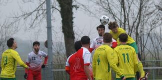 Sportclub Overwetering - Turkse Kracht | foto: Gerrit Krijt