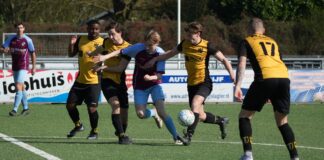 Diepenveen - ABS | foto: Ferdinand Deuzeman