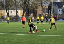 Sallandia - IJsselstreek