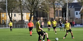 Sallandia - IJsselstreek