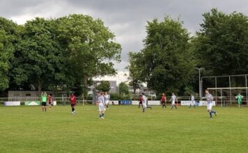 Verliezen met een glimlach De Gazelle - Lettele