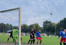 DAVO zakt na rust door de ondergrens Davo - Hoonhorst