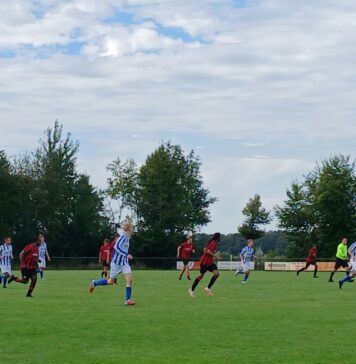 Gehavend de Gazelle verliest kansloos van Lettele Lettele - De Gazelle