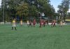 Gelijkspel voelt een beetje als verlies voor de Gazelle SV Zwolle - De Gazelle