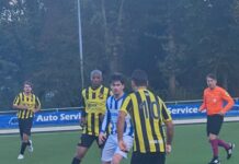 Sallandia verdient meer tegen Lettele