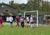 Witkampers - Schalkhaar