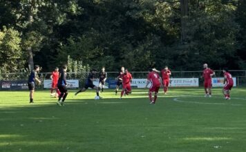 DAVO doet zichzelf tekort in derby Turkse Kracht - Davo